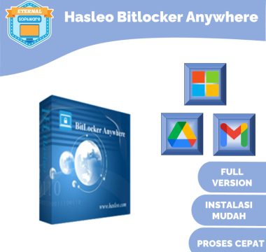 Hasleo Bitlocker Anywhere Pro Software