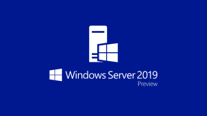 Windows Server 2019 V1809 Build 17763.3650 Standard/Datacenter Iso File