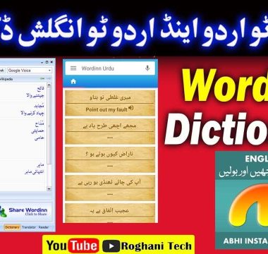 Wordinn English To Urdu Dictionary Full Version