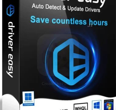 Download Driver Easy Professional Full Version