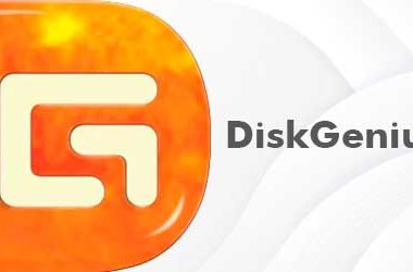 Diskgenius Professional Logo On Orange Background.