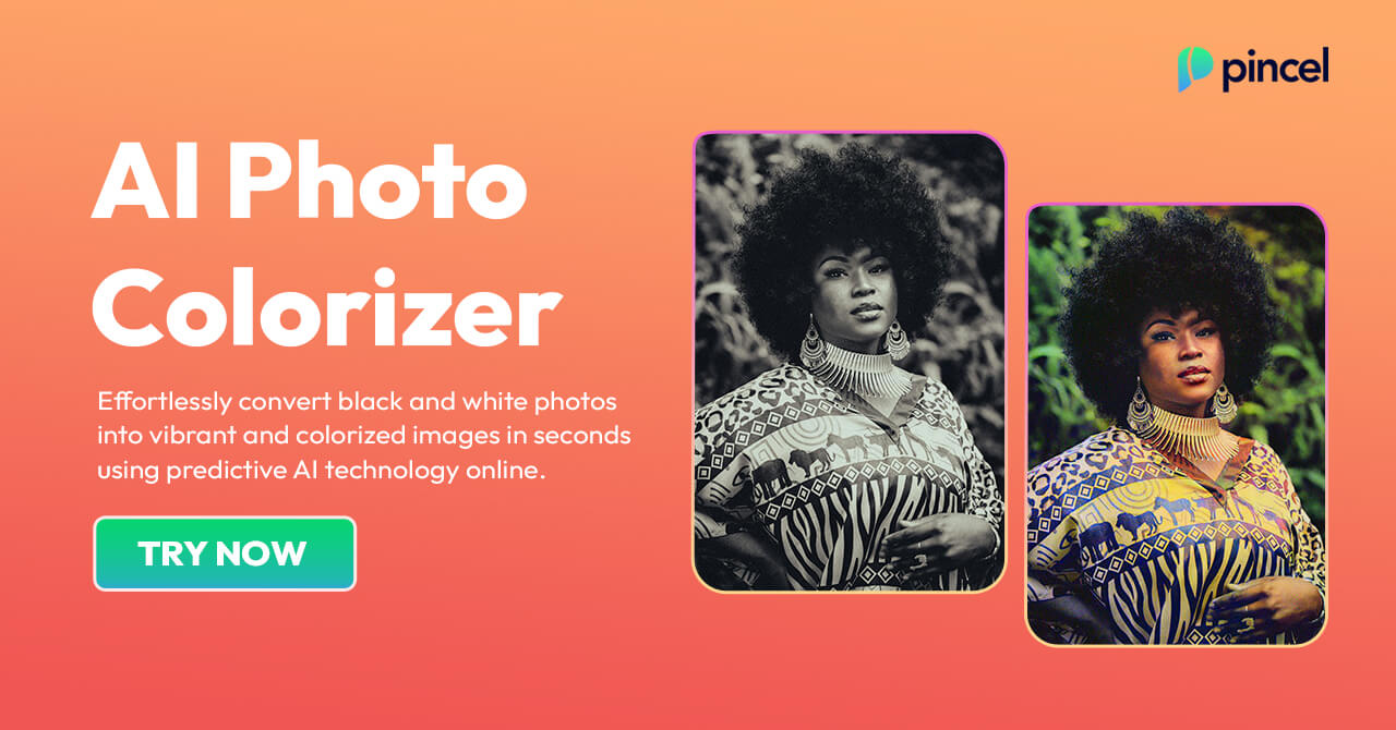 Ai Picture Colorizer Software