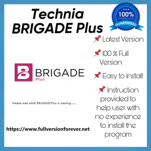 Technia Brigade Plus 2025 V1.0 Tool For Analysis And Design Of Bridges And Civil Structures