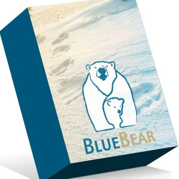 Bluebear Forensic Carver For Windows
