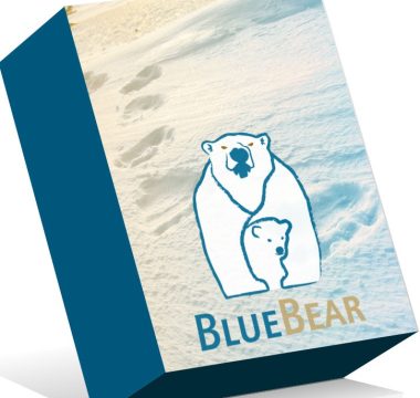 Bluebear Forensic Carver For Windows