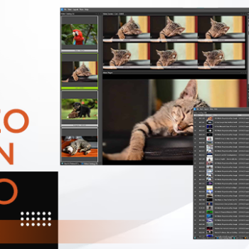 How-To-Organize-Video-Collections