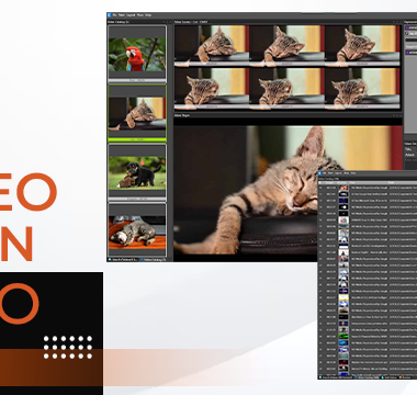 How-To-Organize-Video-Collections