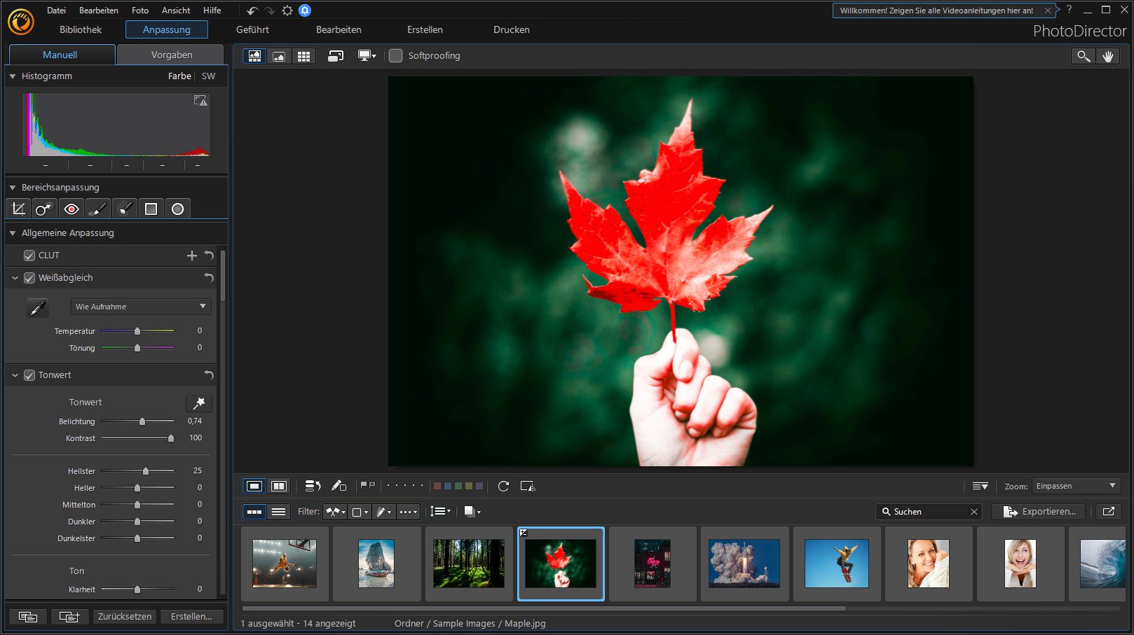Cyberlink Director Suite 365 For Windows V13.0 Best Video, Photo &Amp; Audio Editing Software Download Cyberlink Director Suite 365 For Windows Free Download With Serial Keys