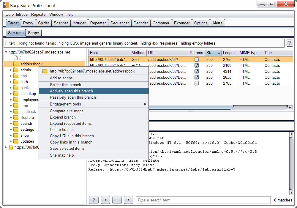 Burp Suite Professional Free Download 1
