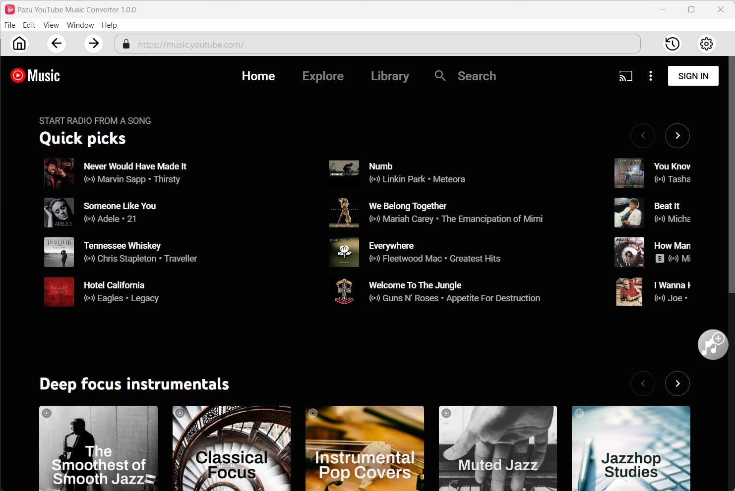 Pazu Youtube Music Converter Software